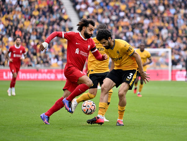 波斯特科格 波斯特科格